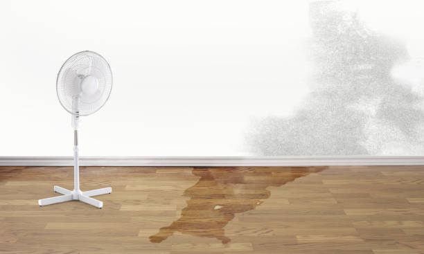 Best Fire Damage Restoration  in Yates Center, KS