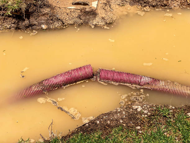 Best 24/7 water damage repair  in Yates Center, KS